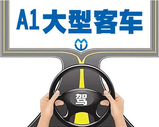 A1大型客運(yùn)車(chē)